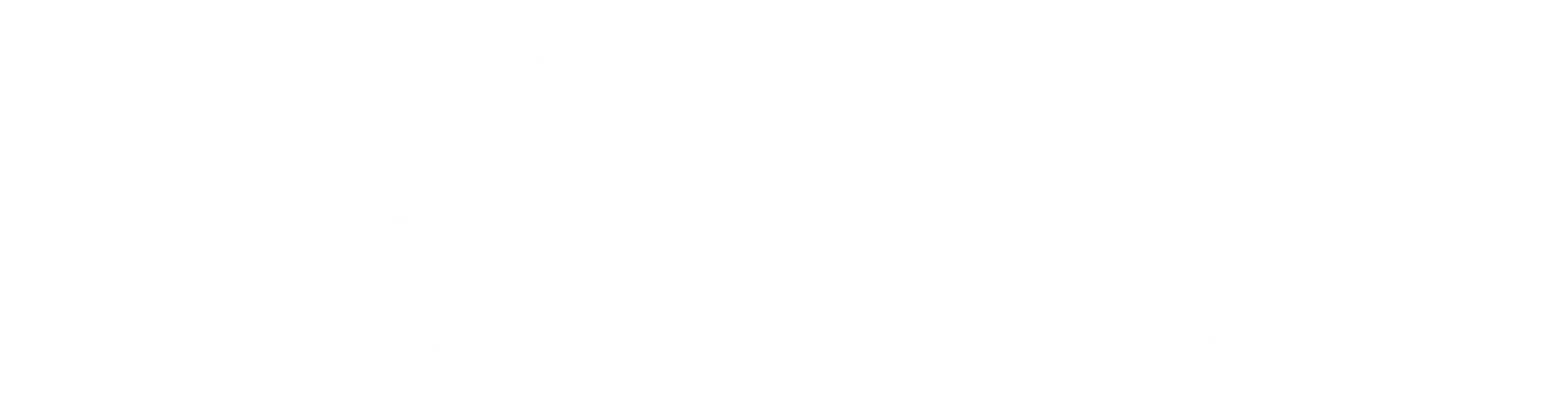 2nd Model-Informed Drug Development Summit Logo